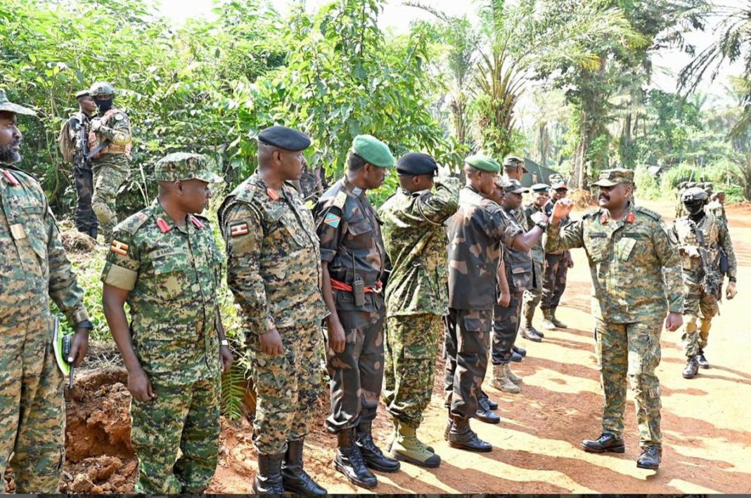 Ituri : les FARDC et l’l’armée ougandaise UPDF poursuivent leur offensive contre les ADF à Lolwa